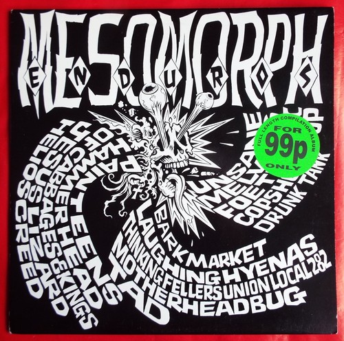 MESOMORPH ENDUROS LP + INNERS 1st UK PRESS ABB A/B1 MISPRINT JESUS LIZARD TAD EX - Picture 2 of 14