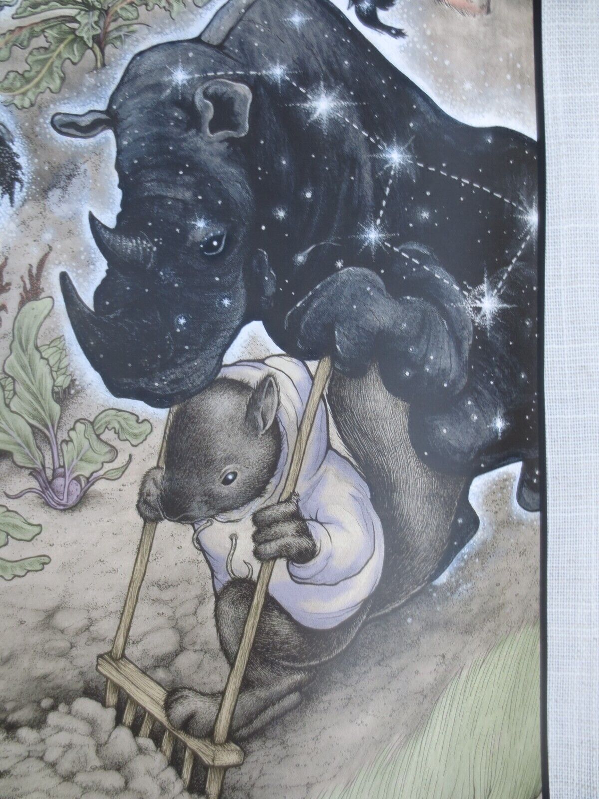 Picture 4 of 6