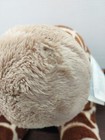 Bild 7 von 7