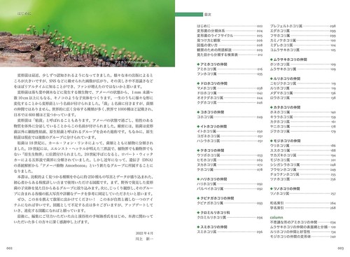 Deformed Bacteria A Field Guide to Myxomycetes Photo Book Kawakami Shinichi JP - Picture 3 of 7