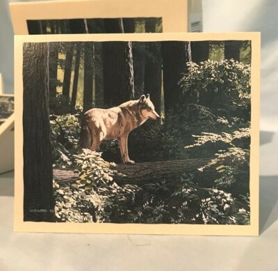 Bookmark Notecards Forest Light - Grey Wolf 13/Box  5'' x 4'' a Lang Co. $22.99
