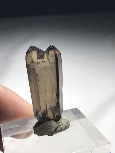 Tantric Twin Morion Smoky Quartz PointFrom A New Find In Chitral Distt Pakistan - Picture 7 of 17