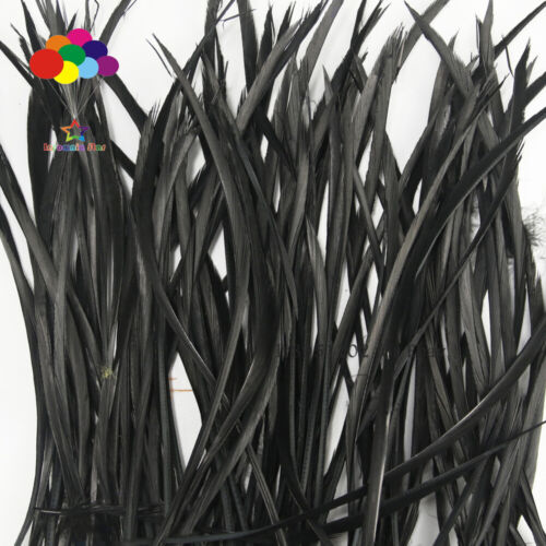Piume d'oca 20-25 cm 8-10 pollici accuratamente realizzate tinte lisce biots nere Juju - Foto 2 di 6