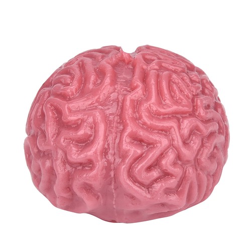 Novelty Squishy Brain Toy Squeezable Fun Toys Relieve Stress Ball Cure Toy - Picture 2 of 7