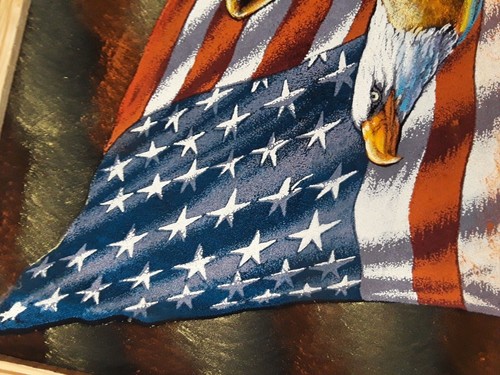 AMERICAN EAGLE , Hand Painted , VELVET PAINTING , 18" BY 22" W , FRAME , DECOR - Picture 3 of 4