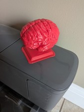 3D Printed Human Brain | Human Anatomy- Nervo...