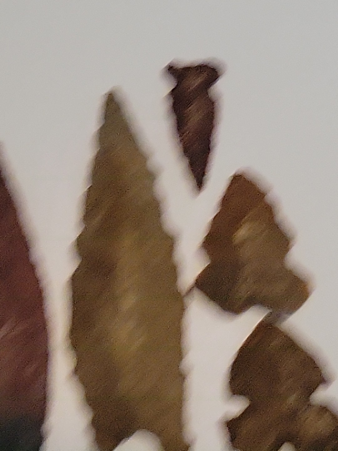 Bild 3 von 12