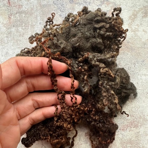 Heidifeathers® Blue Faced Leicester Curly Wool Locks - Nass-/Nadelfilzschleudern - Bild 30 von 33