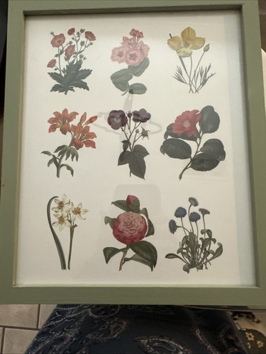 Wild Apple Portfolio Monument Framed Botanical Print - Picture 2 of 3