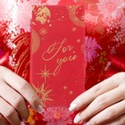  20 Stück chinesische Neujahrs-Rotumschläge, Glücksgeldbeutel, chinesische