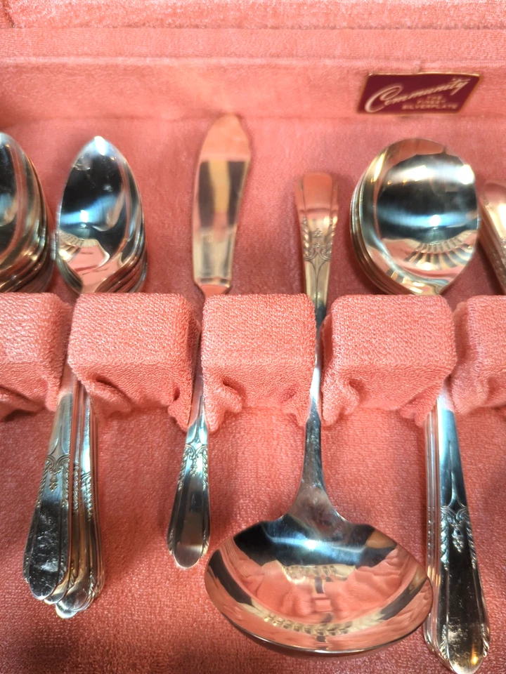 Wm A Rogers Happiness placa de plata sirve 8 + piezas para servir 1940 caja de alabastro Foto 3 de 4