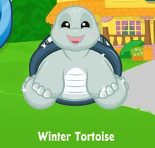Webkinz Classic Winter Tortoise Virtual Adoption CODE ONLY Holiday Pet Turtle