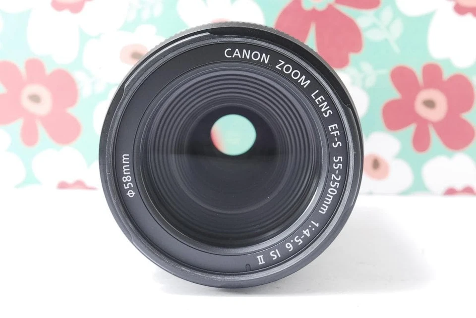 Canon EF S 55 250mm F5.6 IS II Image Stabilization - Image 4 of 4