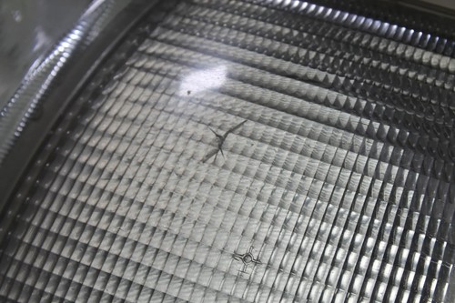 VW T4 Scheinwerfer Frontscheinwerfer Blinker links lange Front Valeo Original - Bild 6 von 10