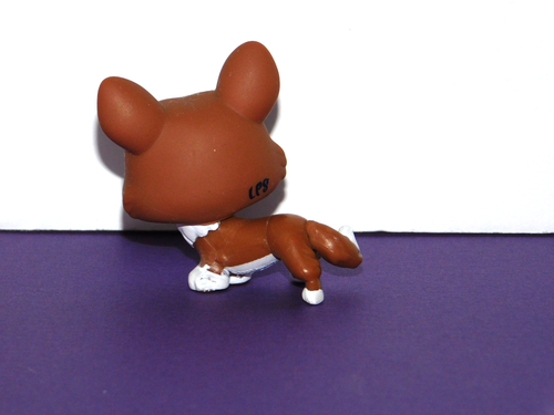 Littlest Pet Shop #2150 CORGI Dog, Bone & Toy Adoption Center Carrier LPS - Picture 5 of 14