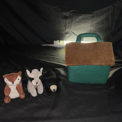 Cabin Bear Squirrel Raccoon Set My Forest Friends Aurora Baby 6"x6" Soft Plush - Picture 8 of 16