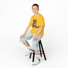 Bild 51 von 121