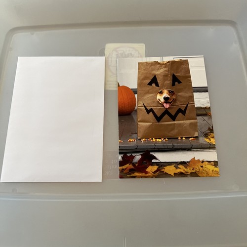 "Leck-or-Treat! Happy Halloween " AVANTI LUSTIGE HALLOWEEN KARTE Hund im Süßigkeitenbeutel