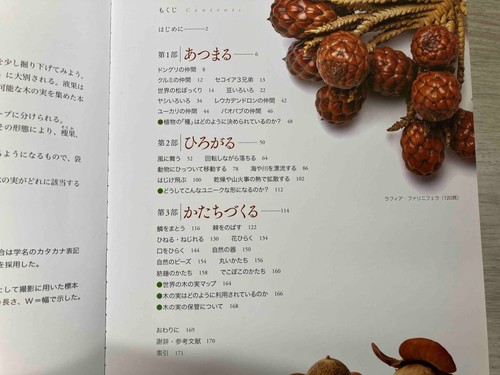 Exotic Fruits & Nuts from Around the World Visual Guide Book Encyclopedia Japan - Picture 8 of 20