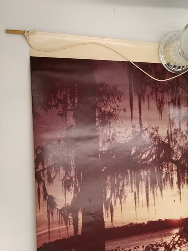 BAYOU POSTER MIT HOLZ ENDSTÜCKEN & SCHNUR 23 X 18 VINTAGE - Bild 5 von 6