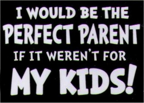 I Would Be The Perfect Parent If It Weren't For My Kids Magnet HM263 - Bild 6 von 14