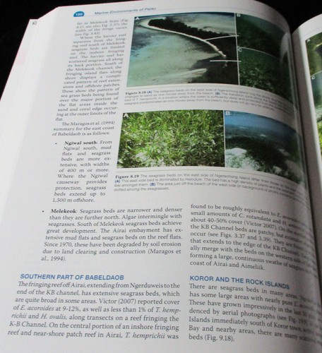 MARINE ENVIRONMENTS OF PALAU Patrick Colin 2009 1ST SCARCE Pacific islands - Picture 9 of 13