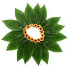 Bild 5 von 12
