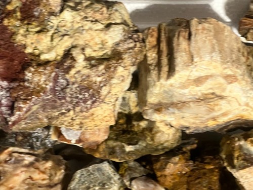 20 lb set:2 of petrified wood,some agate,some opal,super deal lapidary assorted - Picture 5 of 8