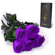 Preserved Flowers Rose for Mom Grandma, Mom Birthday 5 Roses Purple -5 Roses