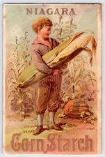 1880-90's CHARLES TUCKER MOWHAWK NY NIAGARA CORN STARCH VICTORIAN TRADE CARD
