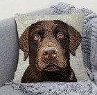 Brown Lab Pillow Cover Pillowcase 2D Flat Print(NOT embroidery) FREE Ship 18 In