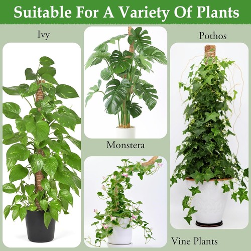 Moss Pole Extendable Moss Pole for Indoor Plants Monstera Cheese Plant S/M/L/XL - Picture 3 of 20