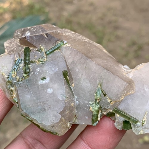 Cristales de turmalina verde raros enclavados en un cuarzo ahumado que se asemeja a un pez - Imagen 7 de 14