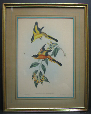 １９世紀　A.Carruthers Gould「Landscape」横　証明書付 19世紀 A.Carruthers Gould「Landscape」横 証明書付 19世紀 A