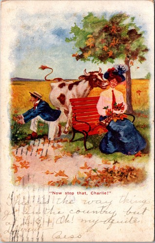 Now Stop That, Charlie! Cow Humor Postcard