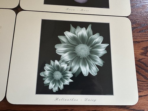 VTG JASON PLACEMATS Serenity Flowers Set of 6 New Zealand Cork Back Placemats - Picture 8 of 16