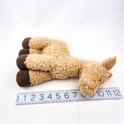 Foto 3 di 9