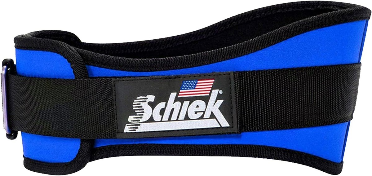 Schiek 2006 6