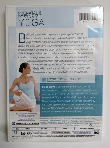 Element: Prenatal & Postnatal Yoga DVD, Pre-Owned - Picture 2 of 3