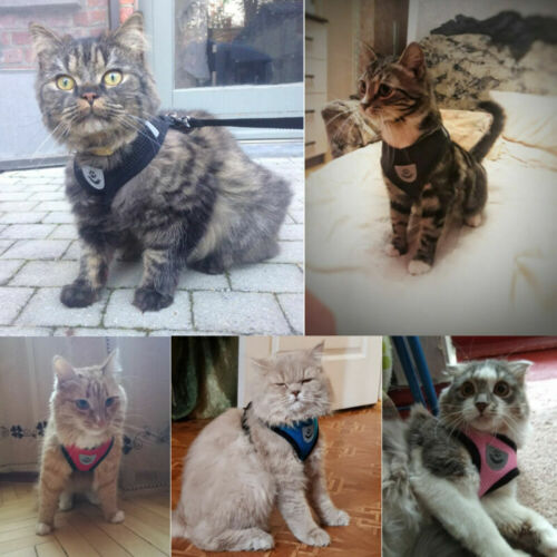 Katze Spazierjacke Geschirr und Leinen ausbruchsicher Haustier Hund verstellbar Netzweste - Bild 7 von 17