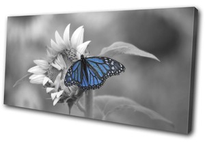 butterfly floral canvas animals single flower
