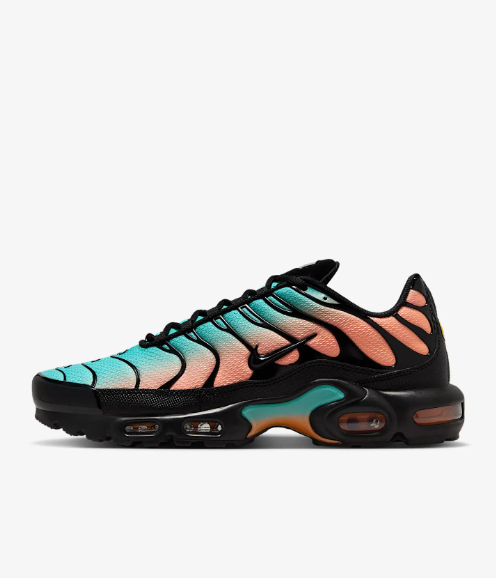 Nike Air Max Plus Men's sneakers DM0032-022 | eBay