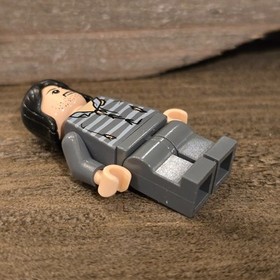 LEGO Harry Potter Minifigure Sirius Black hp045 in sets 4756 4753