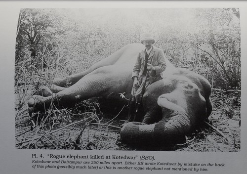 WILD LIFE & ADVENTURES IN INDIAN FORESTS. Osmaston 1888-1923. - Picture 4 of 6