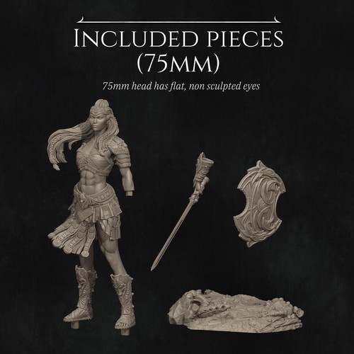 Reika el Gladiador | Figura Impresa en 3D | DnD | Wargaming | Pieza de Arte - Imagen 11 de 12