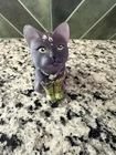 Fenton Art Glass "Curious Cat" figurine in an aubergine (purple) satin READ