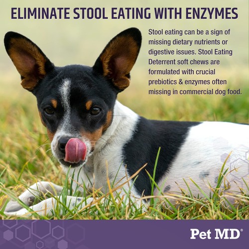 Stool Eating Deterrent - Prevent Dog from Eating Poop - Coprophagia Aversion ... - Picture 4 of 5