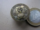 hungary pine badge (c19 A)