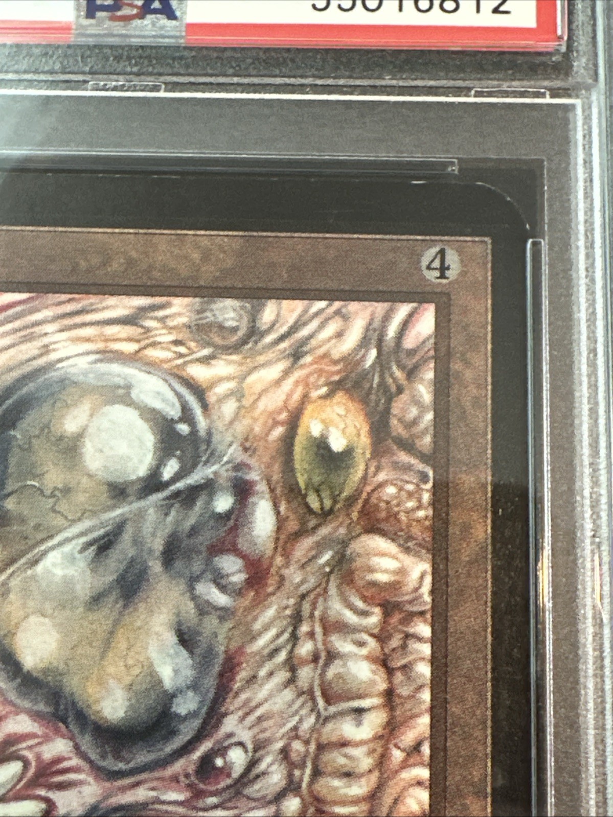 Picture 4 of 16