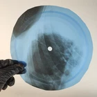 BEATLES LADY MADONNA X-Ray USSR Record Roentgen Bone Ribs Music Vinyl